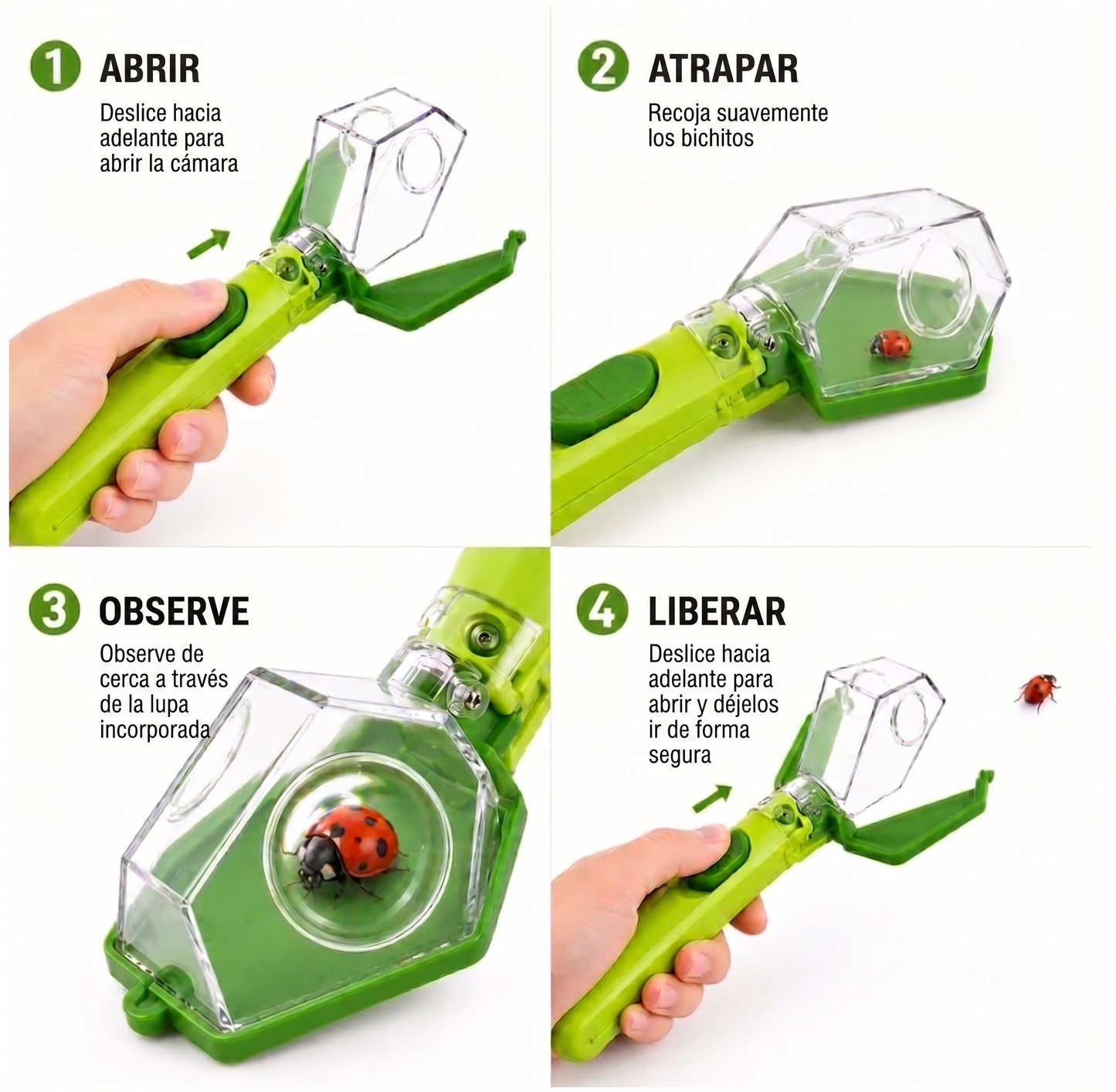 BugScouts - Atrapa Insecto con lupa